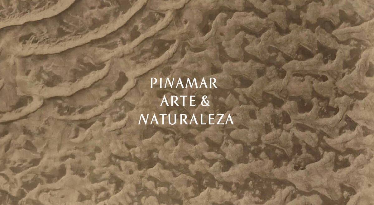 Pinamar Contemporáneo